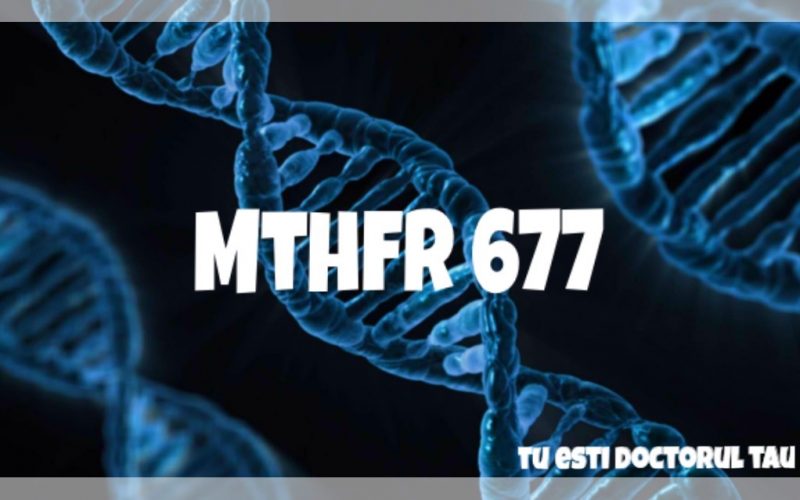 MTHFR 677, tu esti doctorul tau