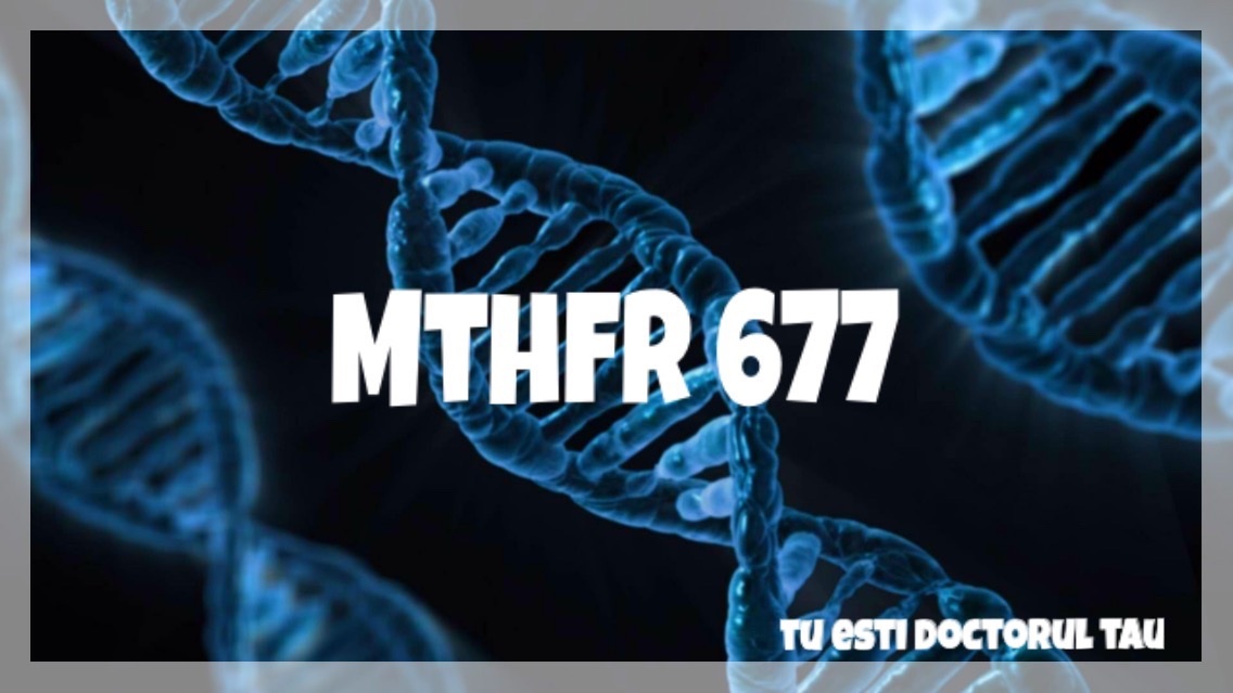 Mutatia MTHFR 677